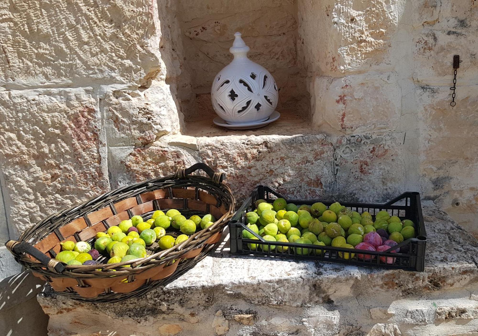 Podere Del Gelso Bianco, Vacation Rental Ostuni Exteriör bild