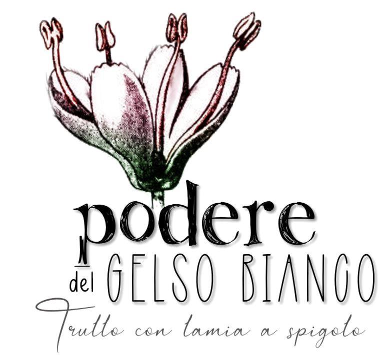 Podere Del Gelso Bianco, Vacation Rental Ostuni Exteriör bild